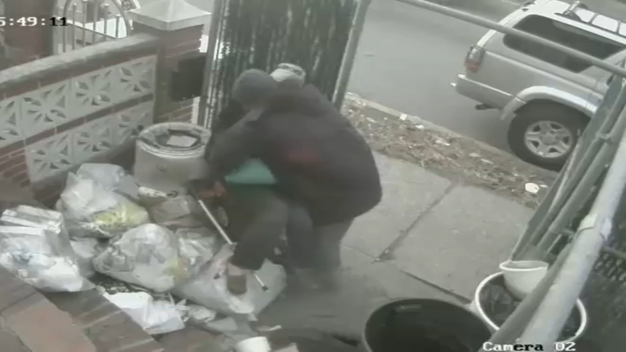 Elderly woman robbed in Queens