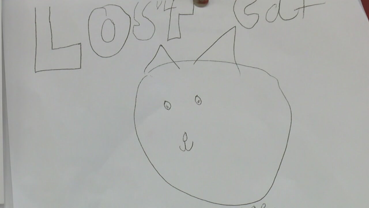 10-year-old girl draws picture to help find missing cat