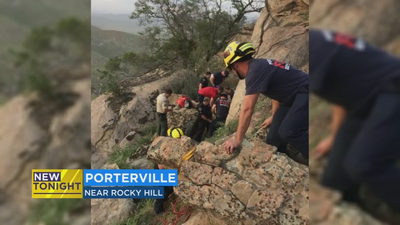 Man recovering in hospital after hang glider flew into tree