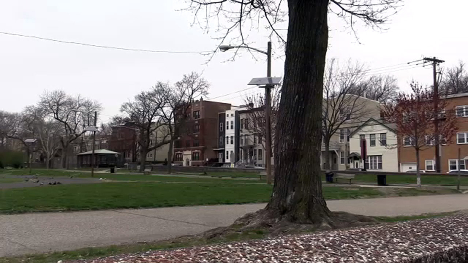 Man gets 8 years for retired teacher's fatal stabbing in pigeonfeeding