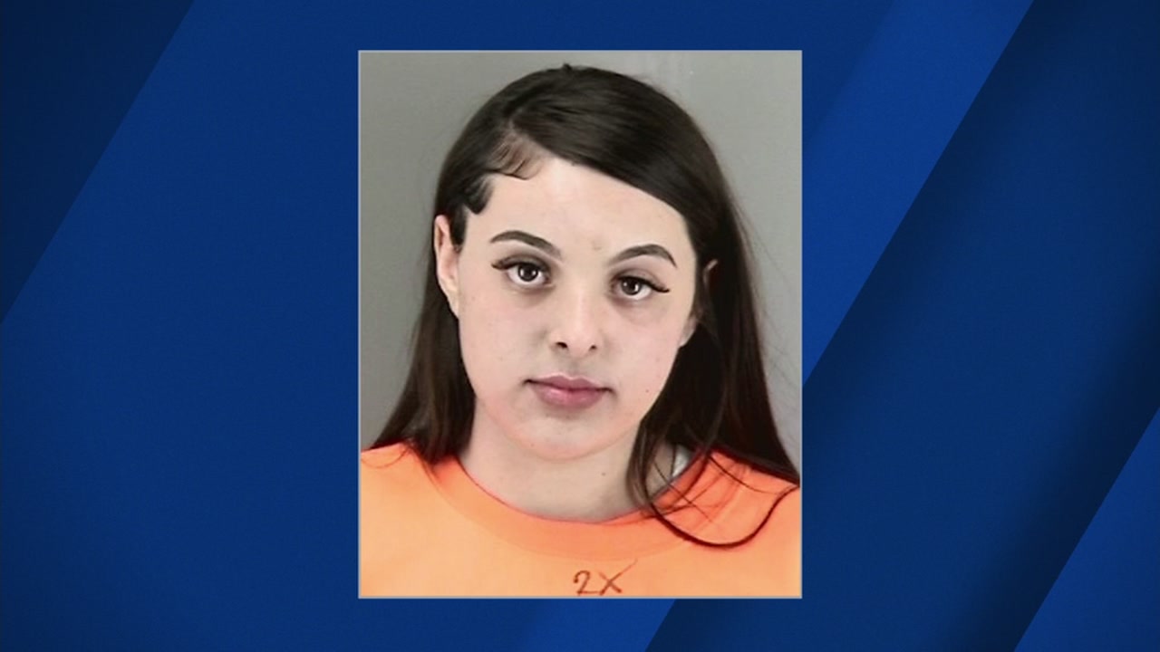 トップス io mugshot foodie Julia Child Mugshot T-shirt: Funny Culinary Meme Tee, Foodie Gift