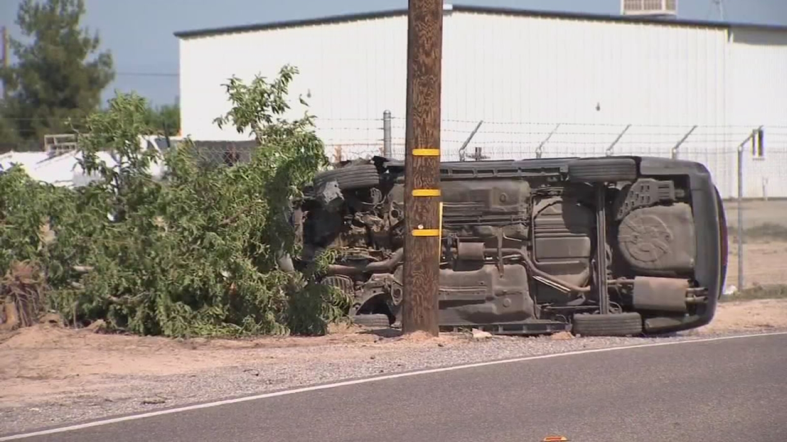 Driver dead after crashing into orchard trees in Tulare County - ABC30 ...