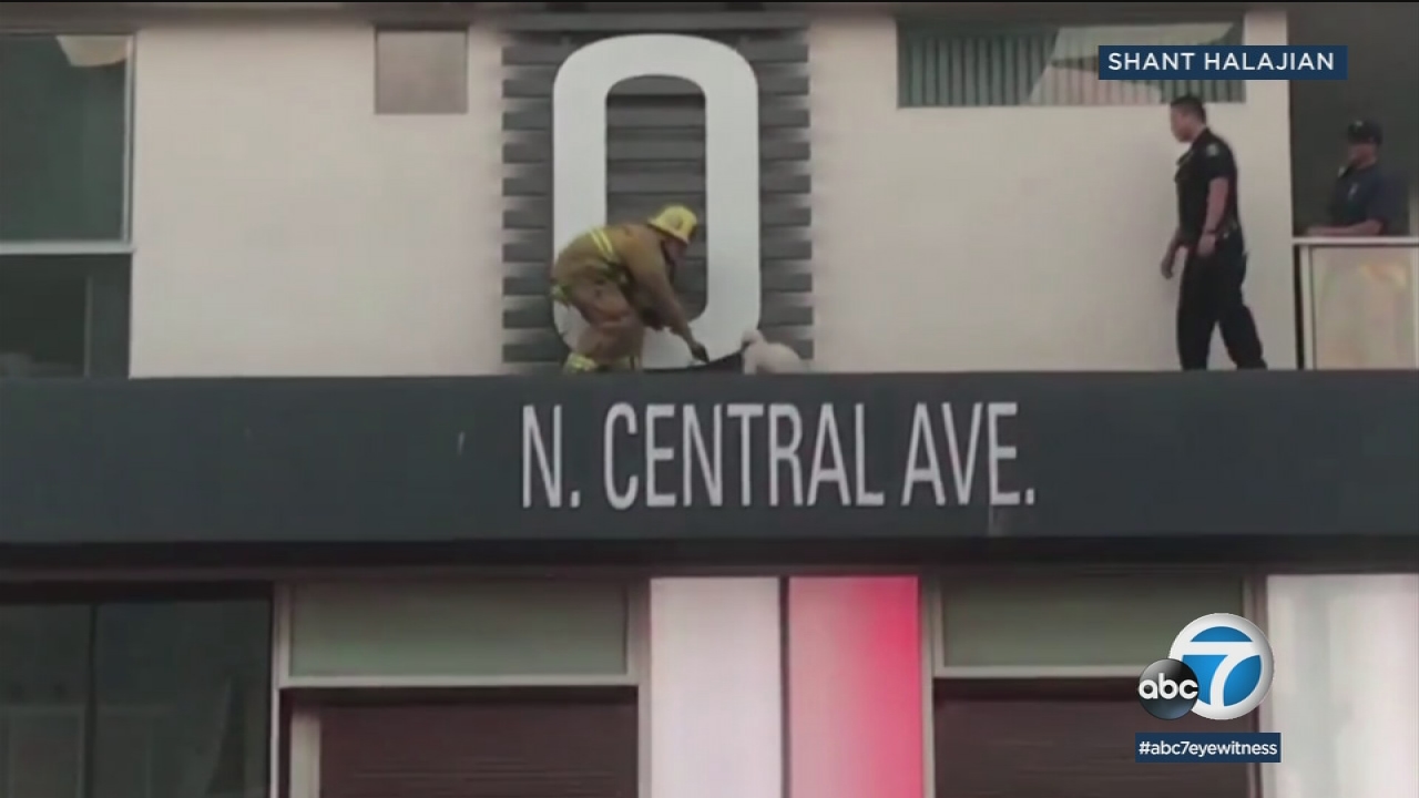 VIDEO: Glendale firefighters rescue dog stuck on ledge