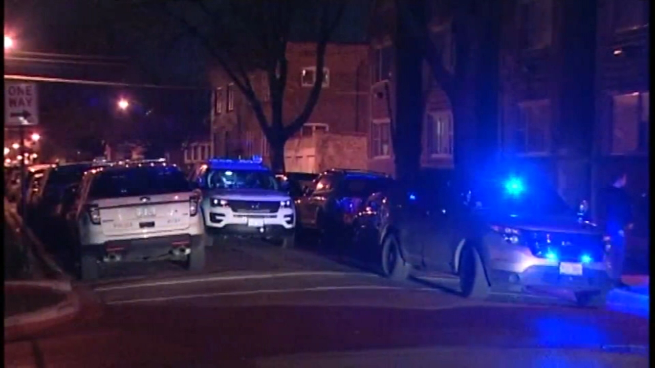 Woman fatally stabbed, pushed out of car in Chicago Lawn
