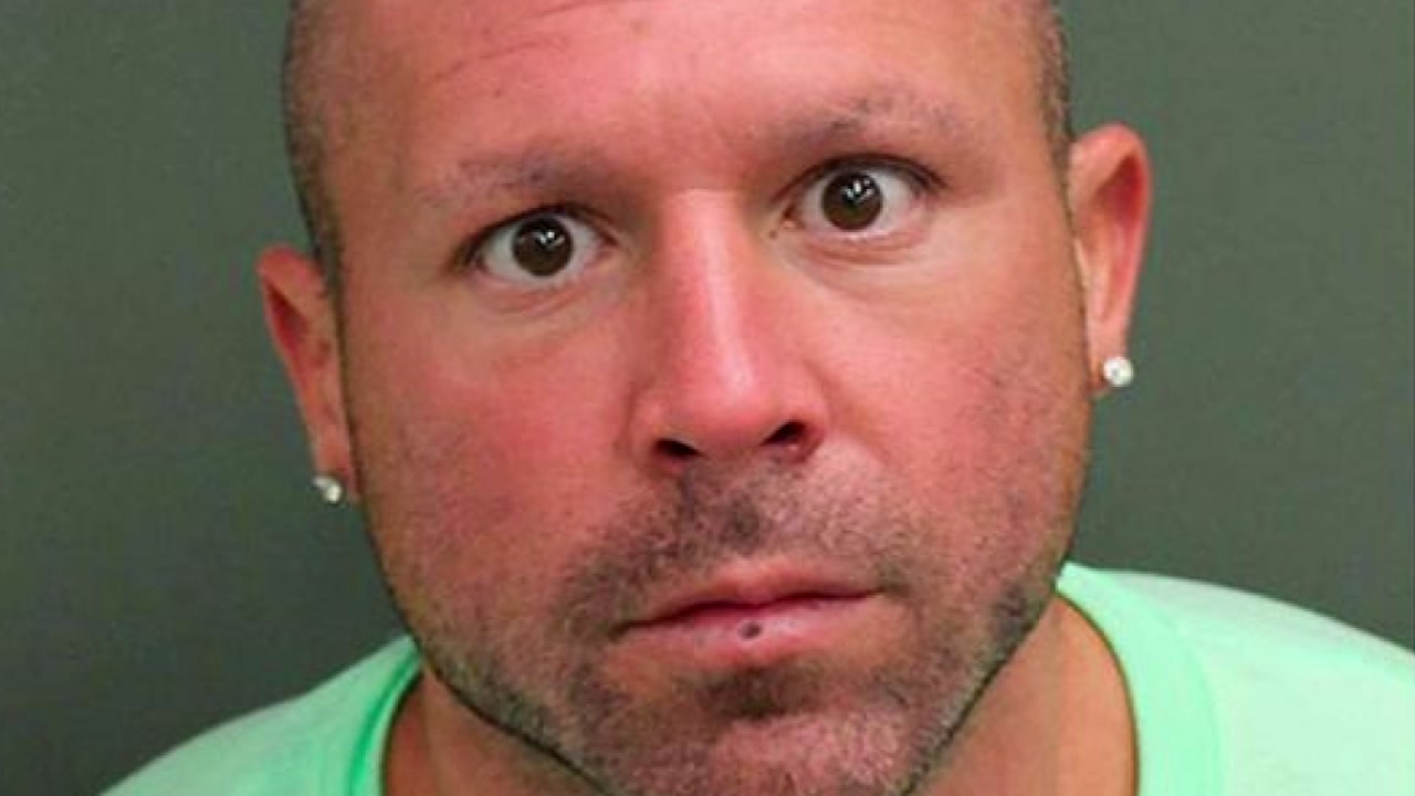 Man kicked swans in the head at Florida park, police say