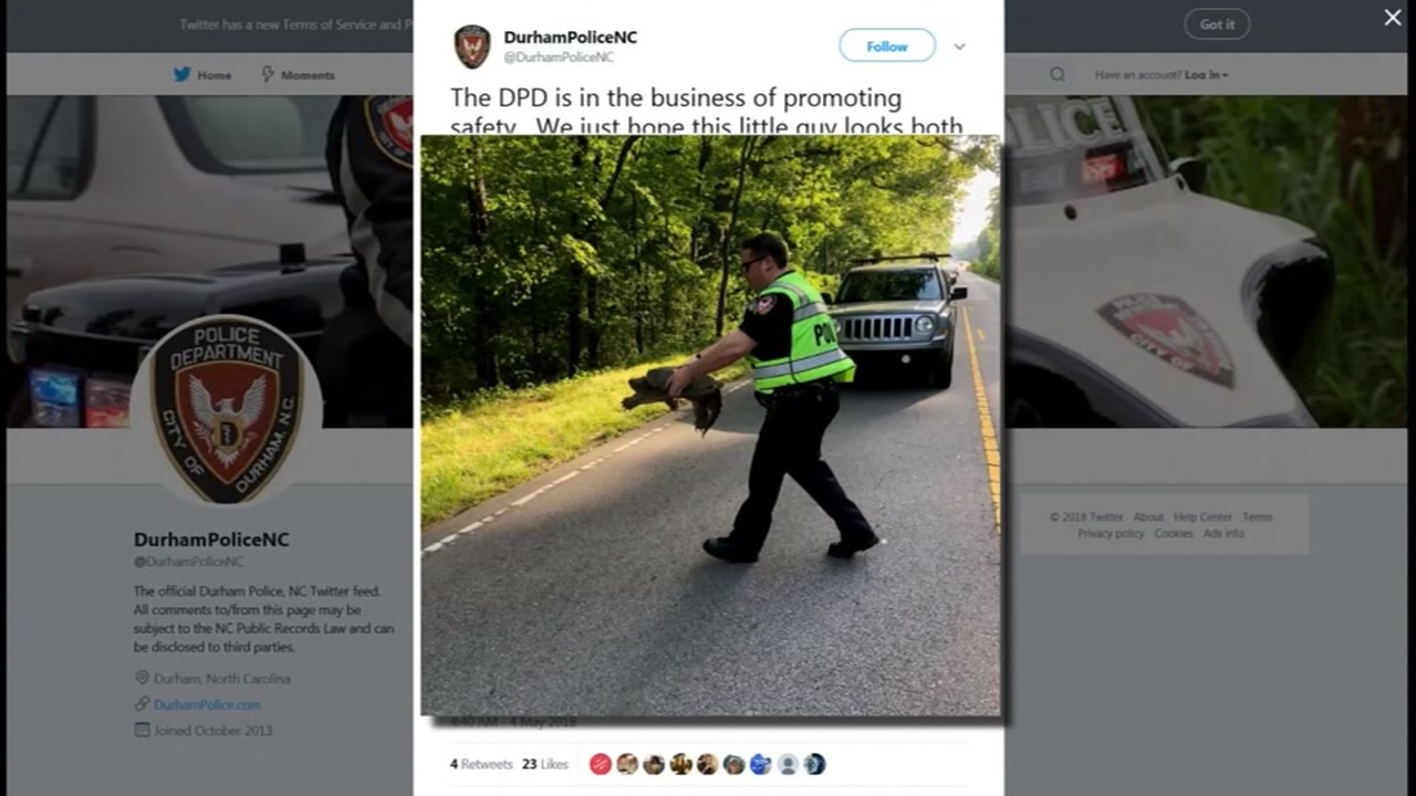 Durham police help turtle cross the road