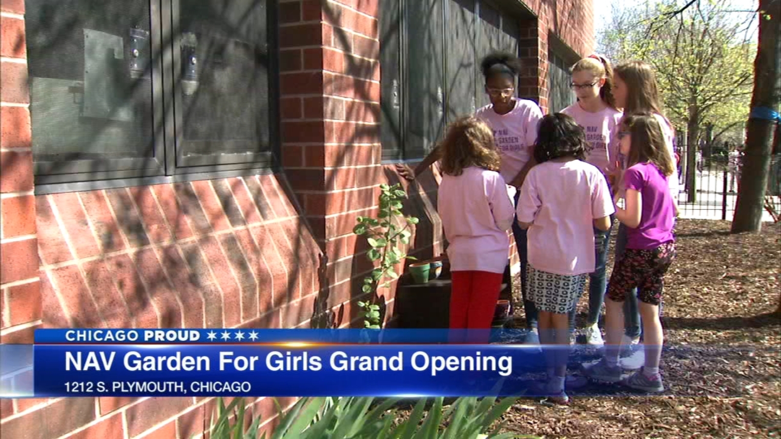 NAV Garden for Girls opens at South Loop Elementary - ABC7 Chicago