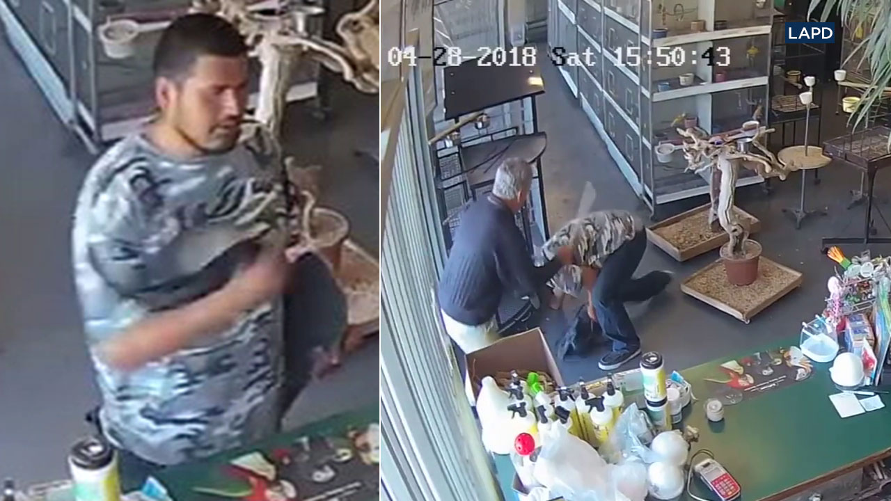 Quick-acting store owner foils bird bandit in Van Nuys