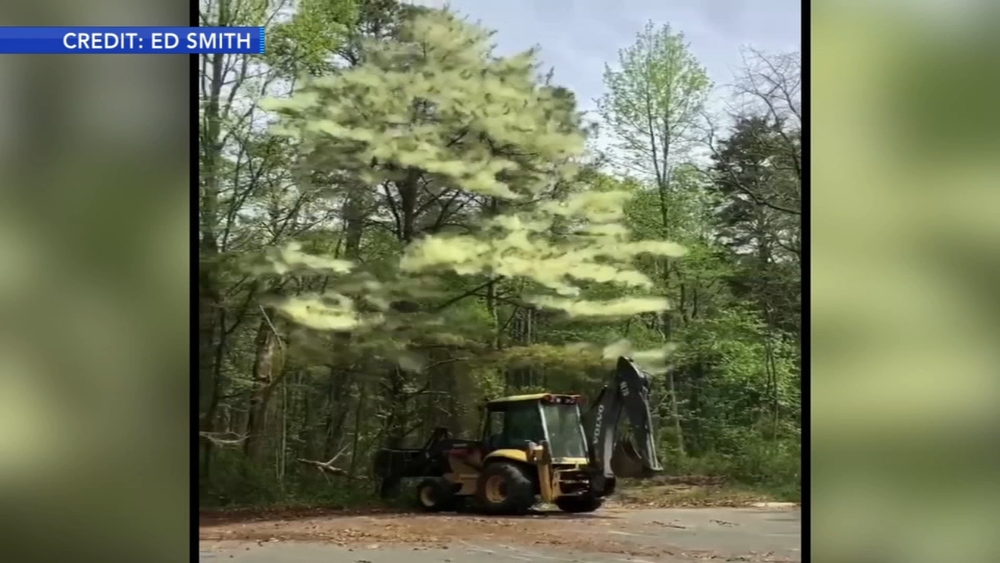Proof of pollen problem in Millville