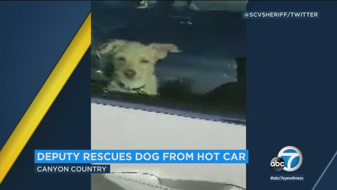 Dog rescued from hot car in Canyon Country