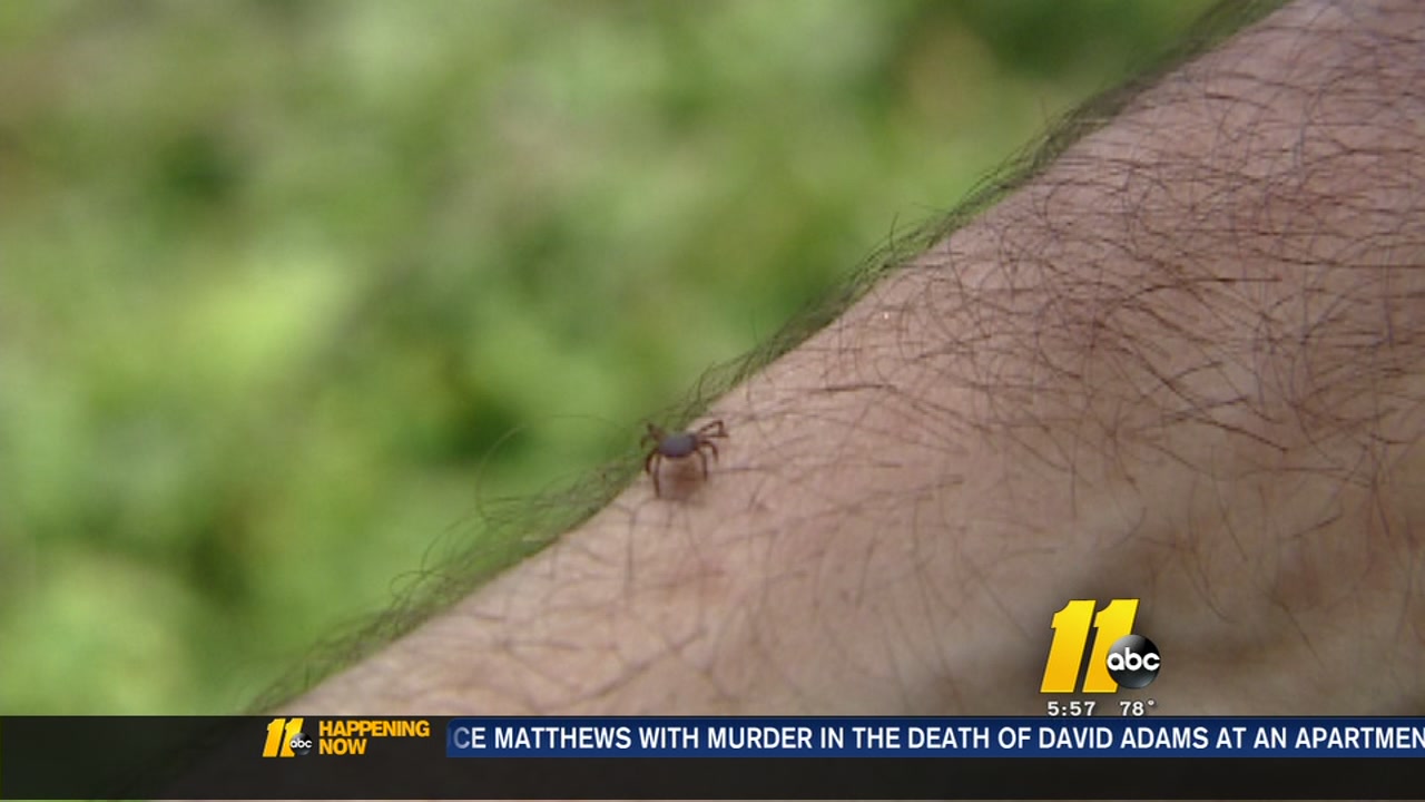 How to handle tick season in North Carolina