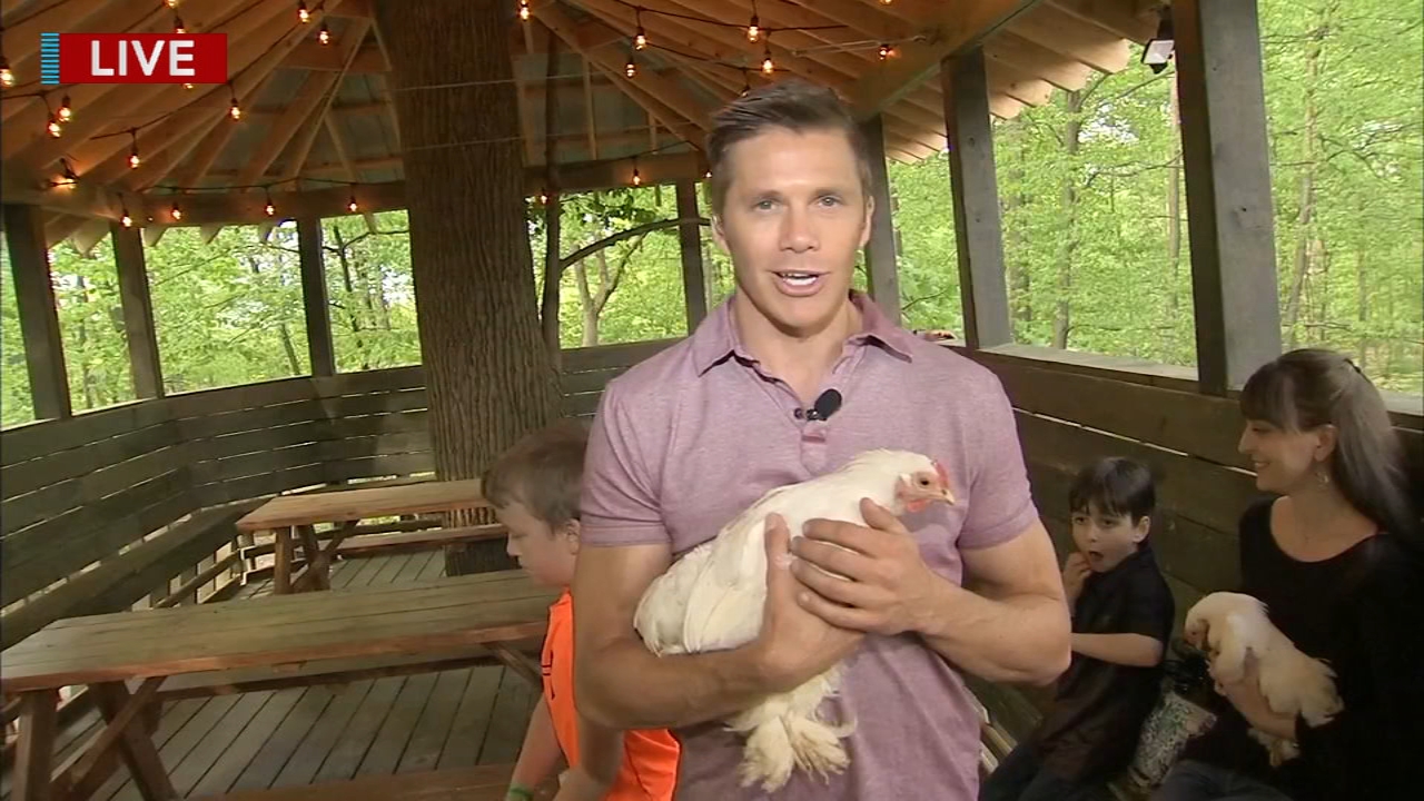 Adam Joseph's Spring Adventure at Tree House World
