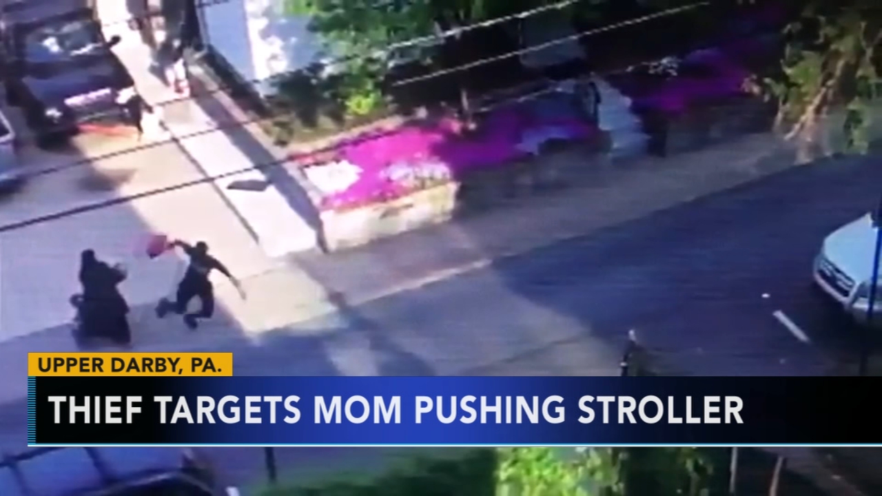 Thief targets mom pushing stroller