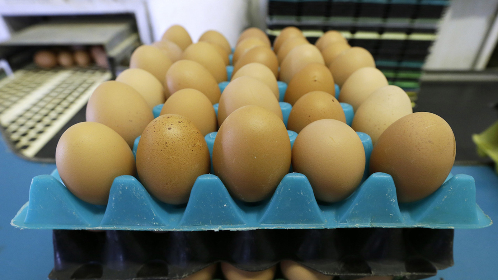 Salmonella outbreak linked to Rose Acre Farms facility eggs sickens 35