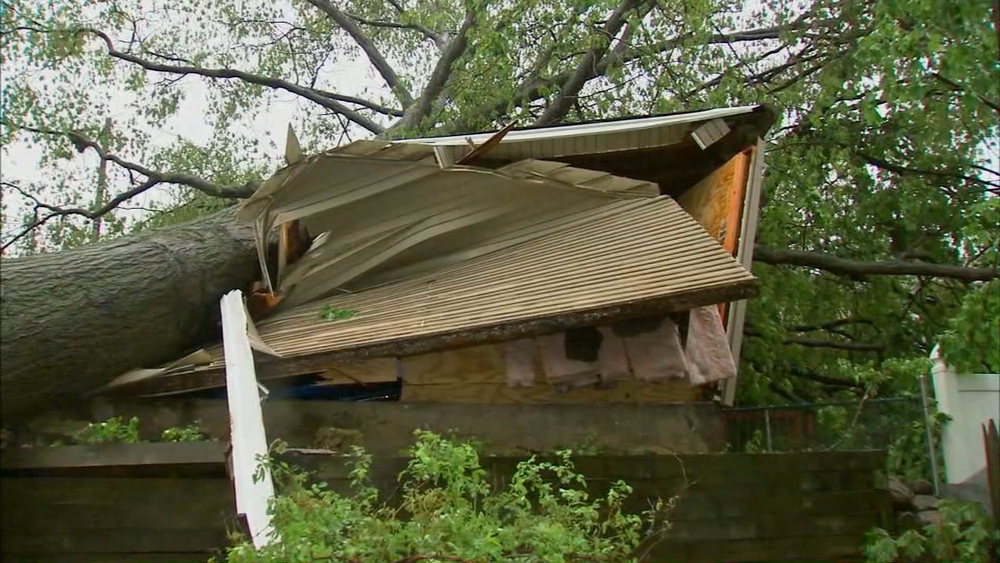 Tree falls on garage in New Jersey