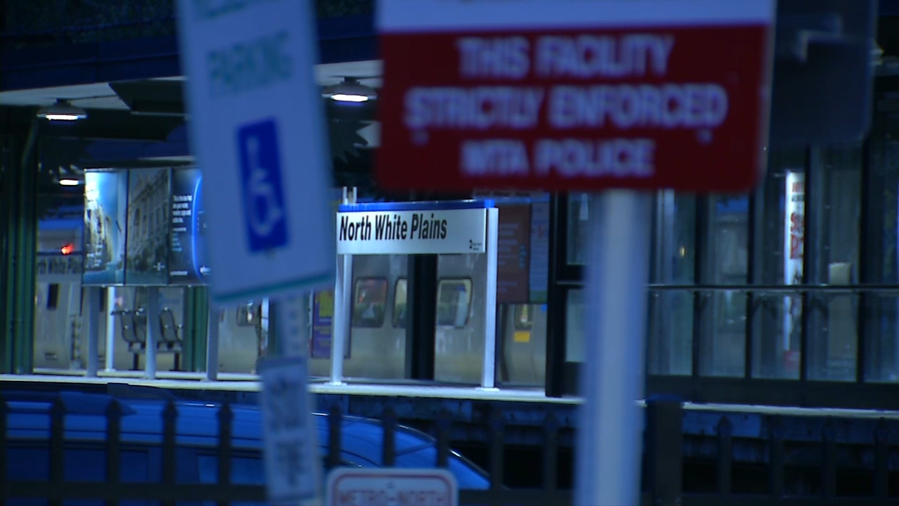 Storm damage creates troubled commute for some in New York