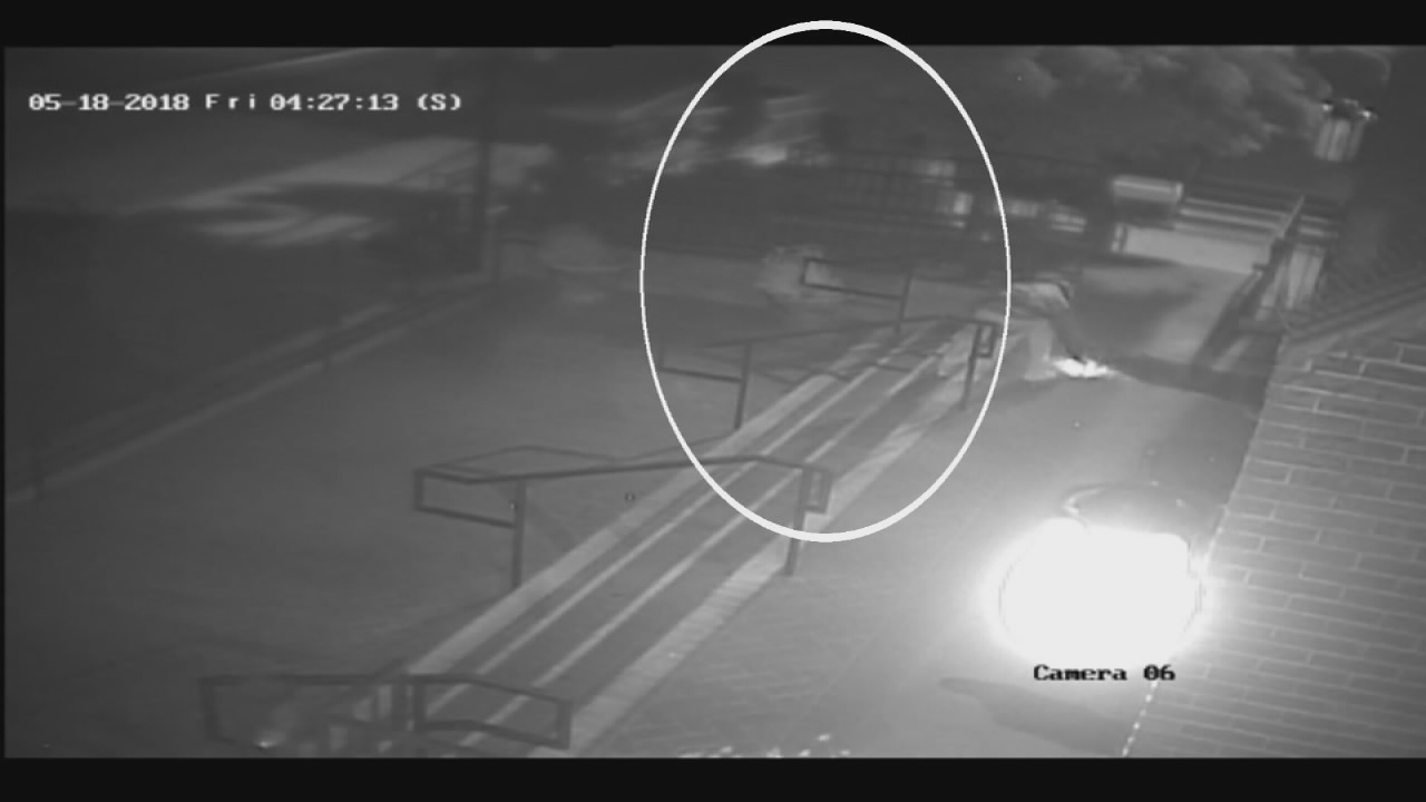 Arson attack on Fresno's Catholic cathedral