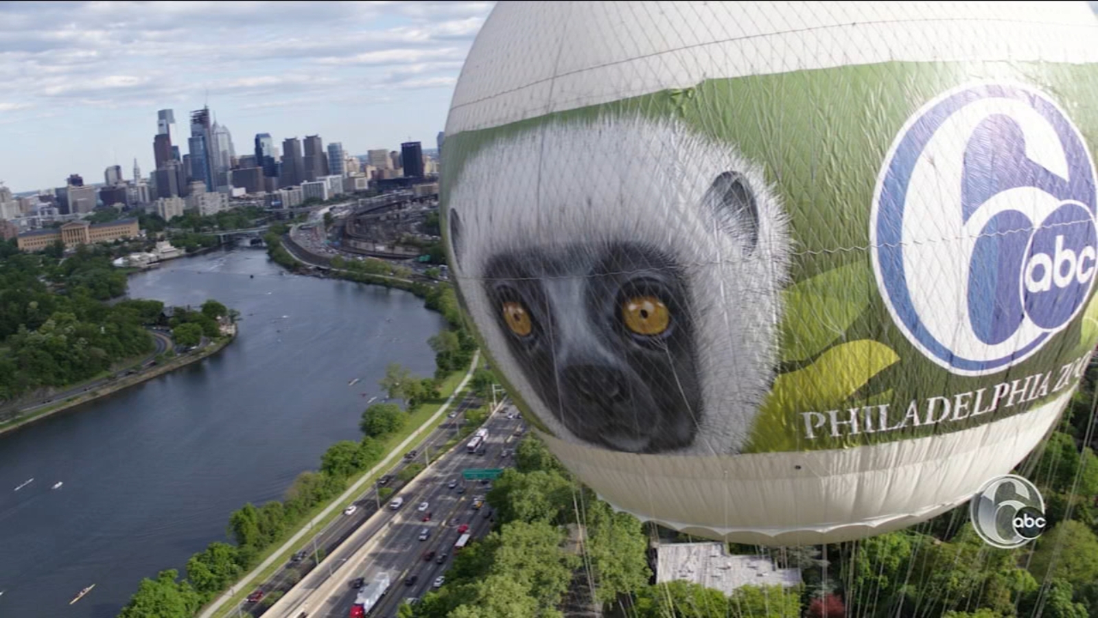 Six Things to do at the zoo A Big Experience at the Philadelphia Zoo