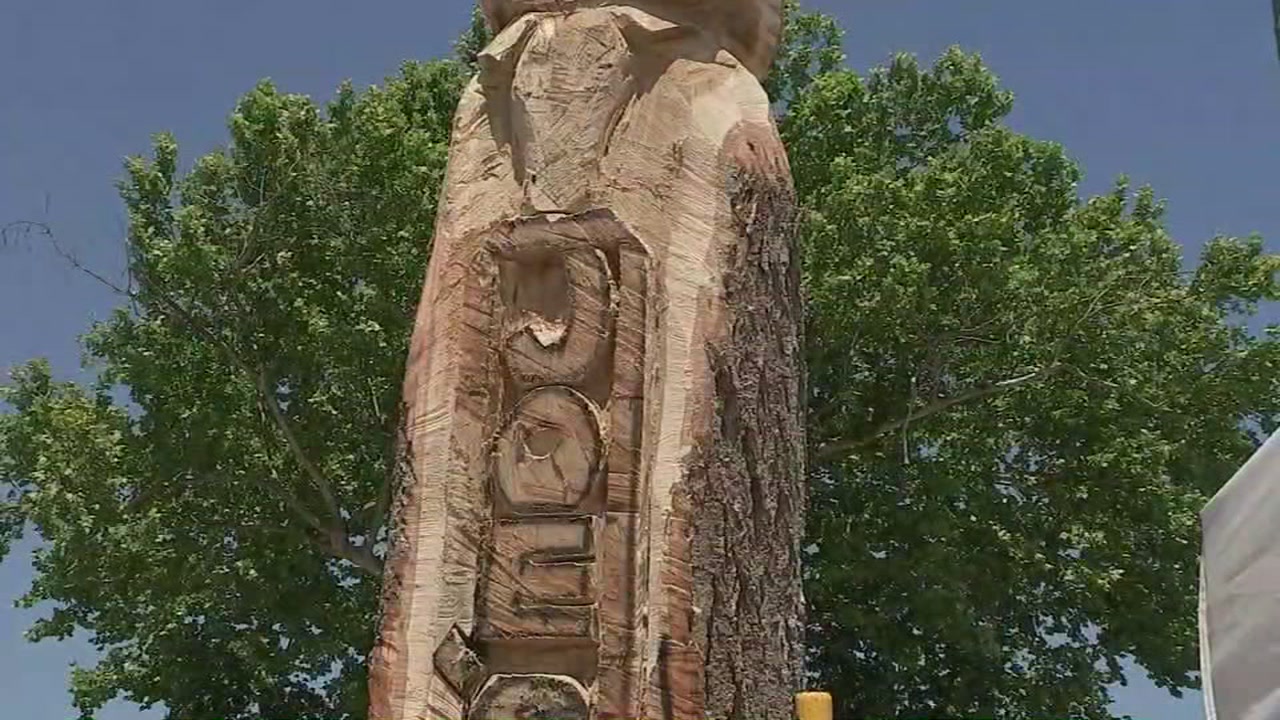Historic tree carved instead of axed after tangling in power lines