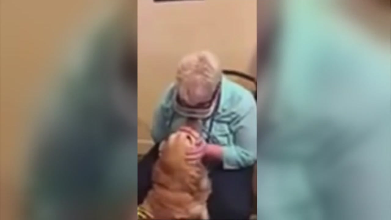 Blind woman sees her guide dog for the first time