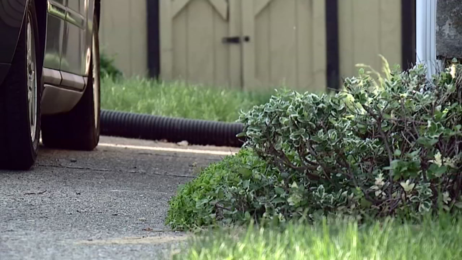14-foot python on the loose, man warns his neighbors - ABC13 Houston