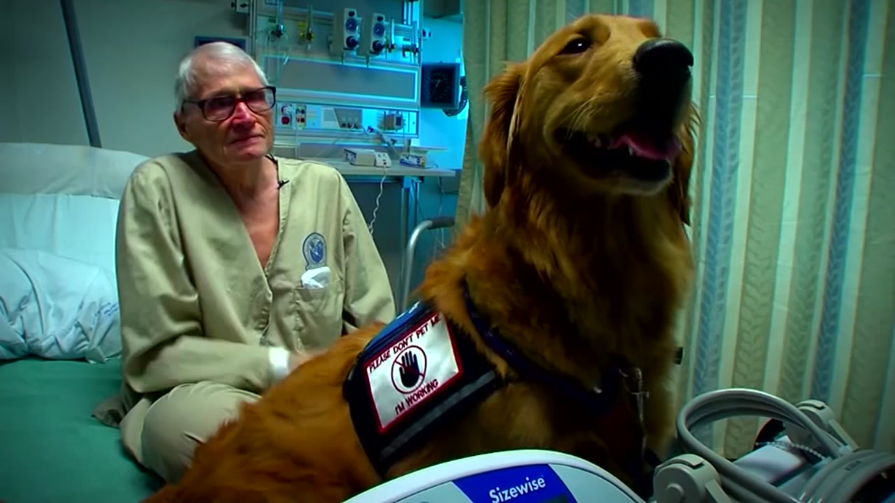One service dog who helps those who've served