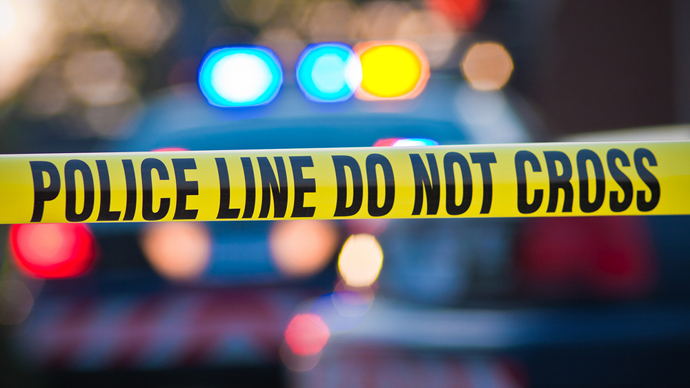 Police: 67-year-old woman killed in dog attack in NY home