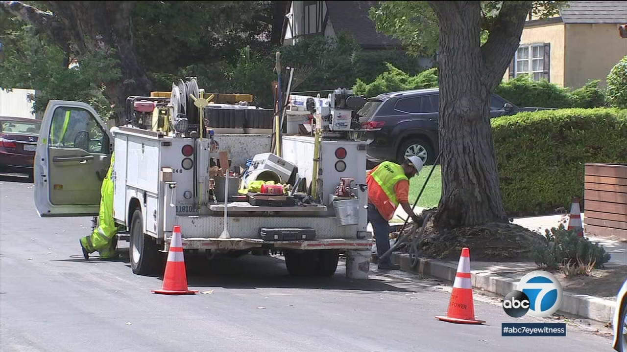 City crews fixing NoHo water leak caused by tree roots