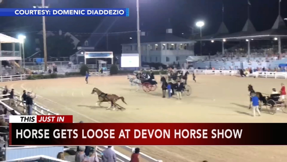Horse gets loose at Devon Horse Show