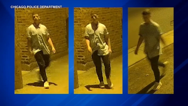 Chicago man accused of sexually abusing 2 sleeping girls in custody ...