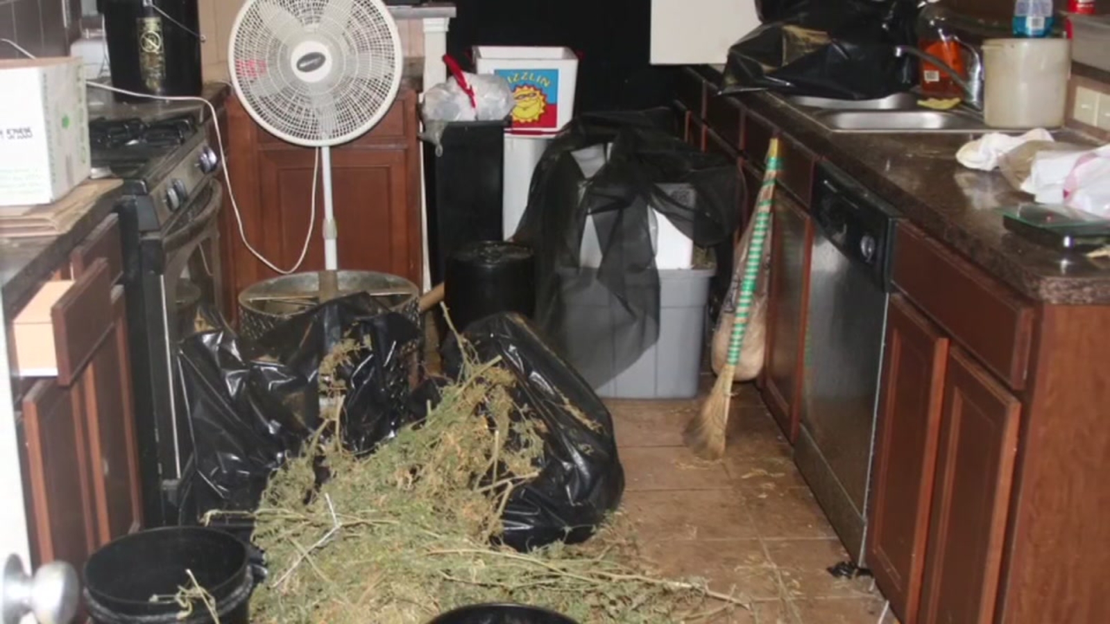 Homeowners learn too late they purchased a former illegal marijuana