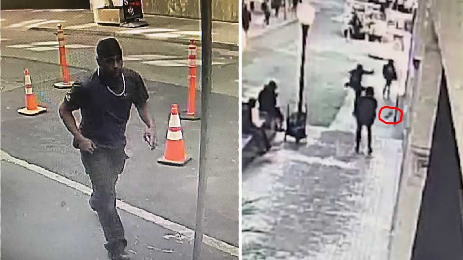 Officials searching for man caught on camera kicking dog, fracturing
