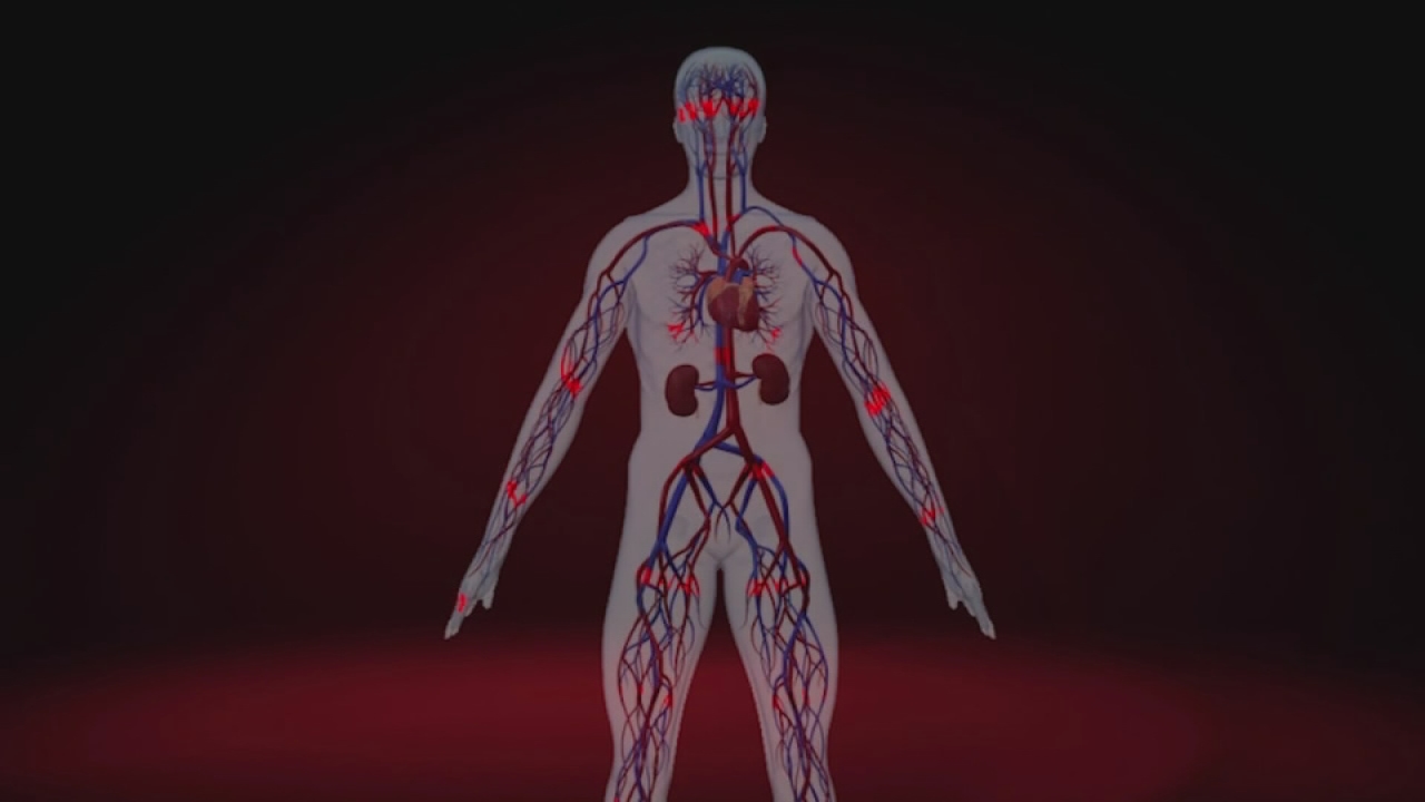 Growing new blood vessels