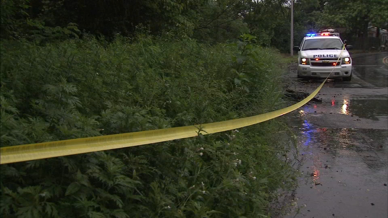 Dog remains found in bag, set on fire