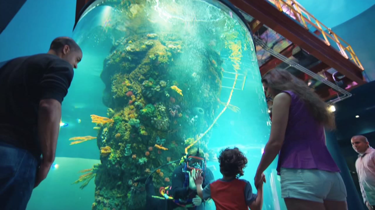 Check This Out - Moody Gardens