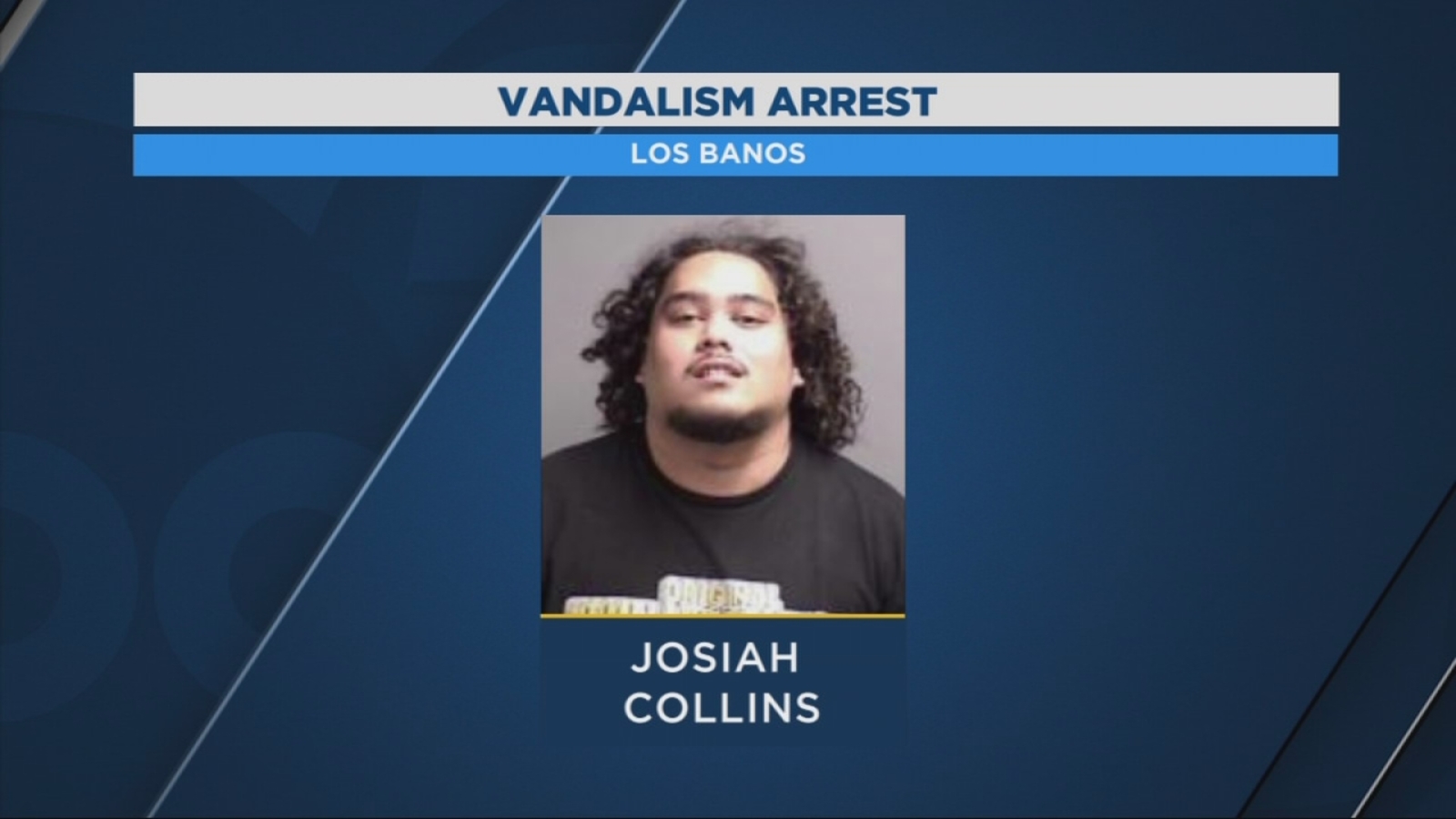 Teen facing felony vandalism charges for spray painting cars during
