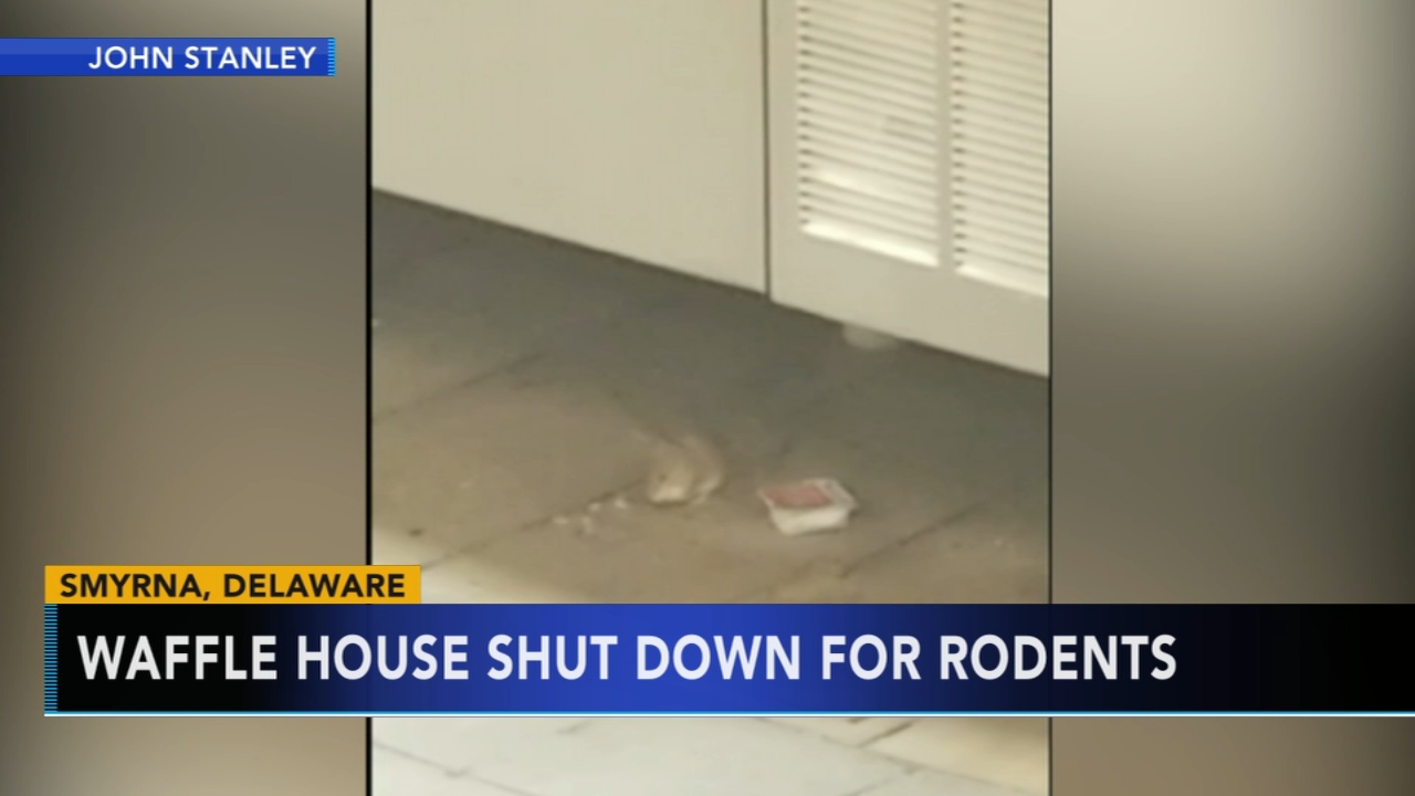 Waffle House shuts down due to rodents