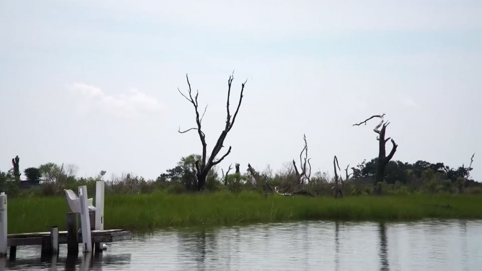 Louisiana's bayou is losing land at an alarming rate ABC13 Houston