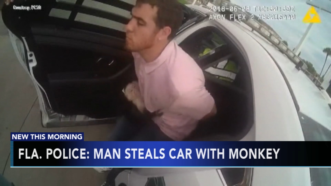 Police: Man steals car with monkey in Florida