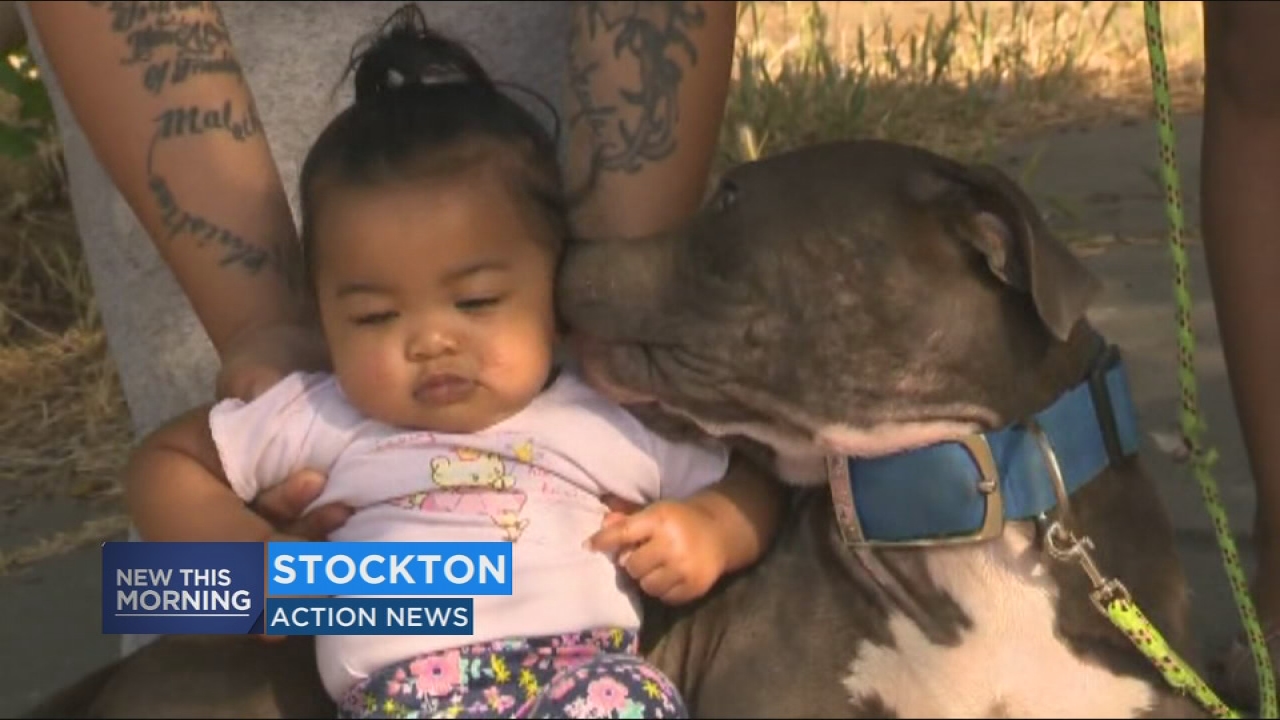 Dog saves Stockton family from fire