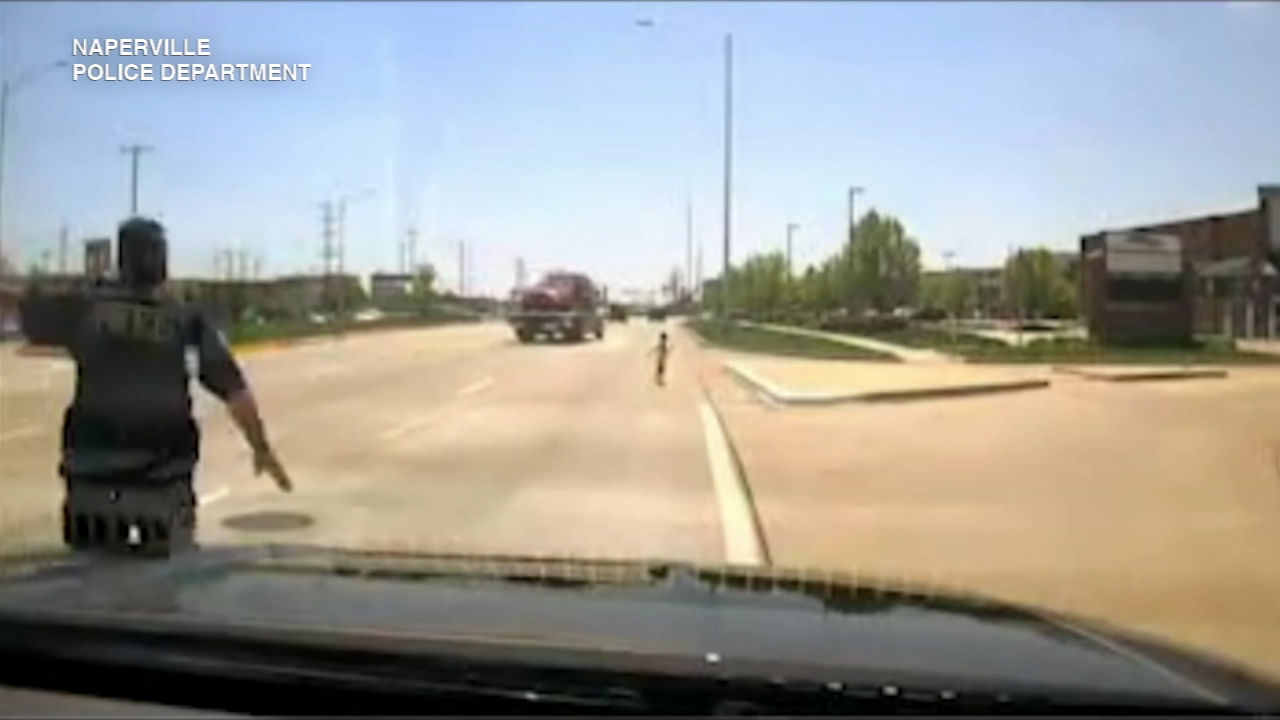 Naperville officer rescues toddler running on Route 59