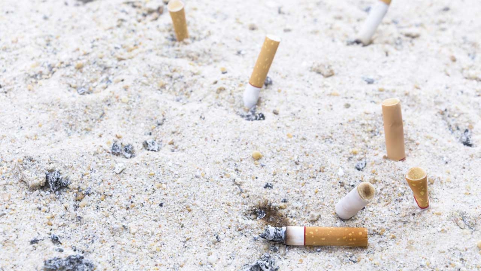 Poll 75 percent oppose smoking and vaping on New Jersey beaches 6abc