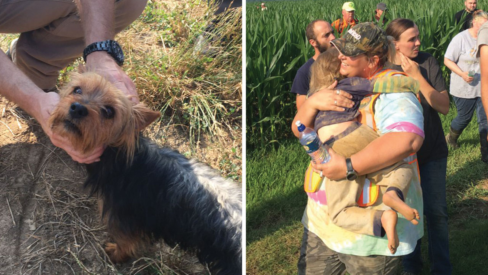 Missing 3yearold found safe in Qulin cornfield with Yorkie by her