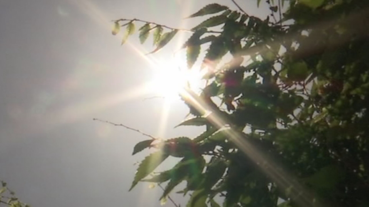 Bracing for triple digit heat