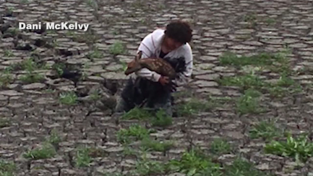 Man wades through poop to save fawn