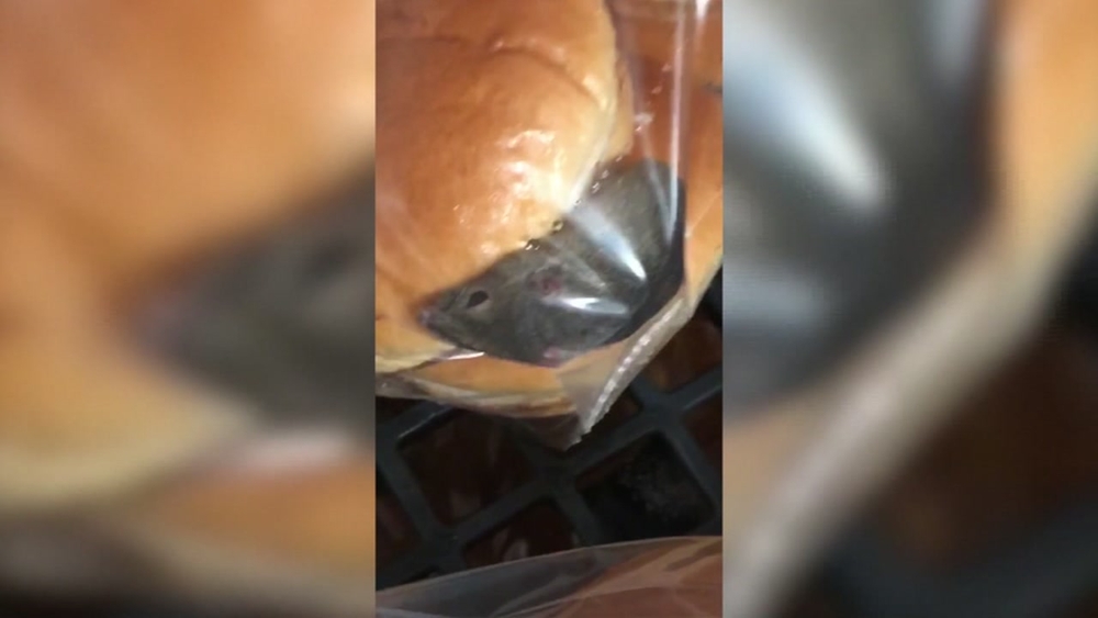 Live mice found in Wendy's food