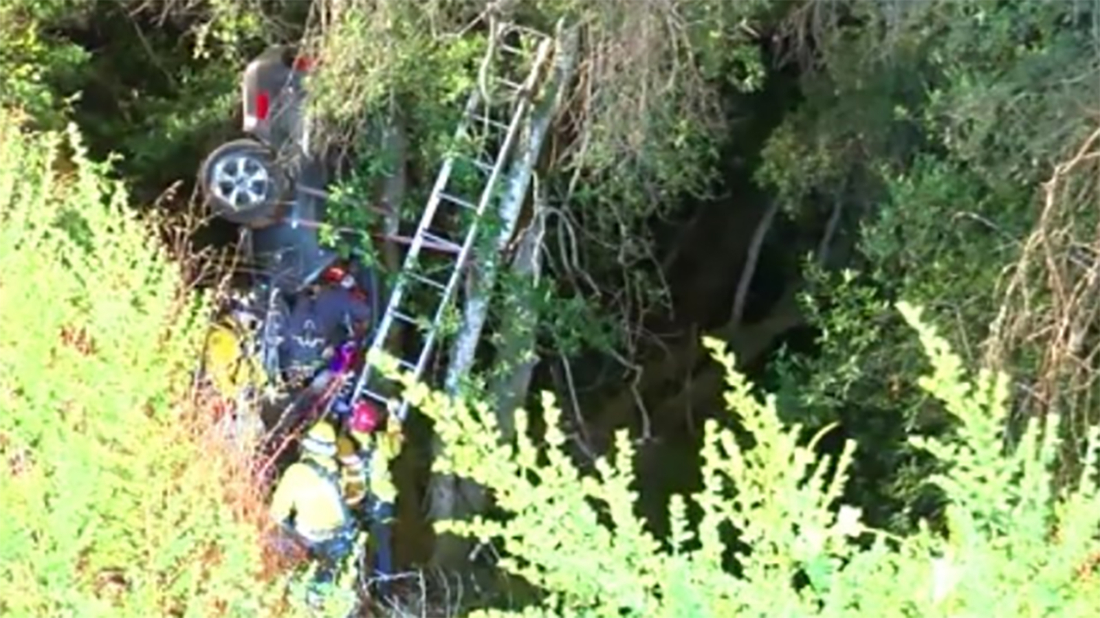 Driver rescued after car plunges 30 feet down cliff in Santa Cruz ...