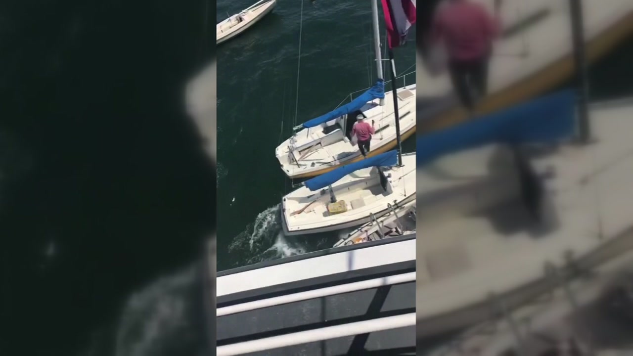 Cruise ship loses control, strikes several sailboats