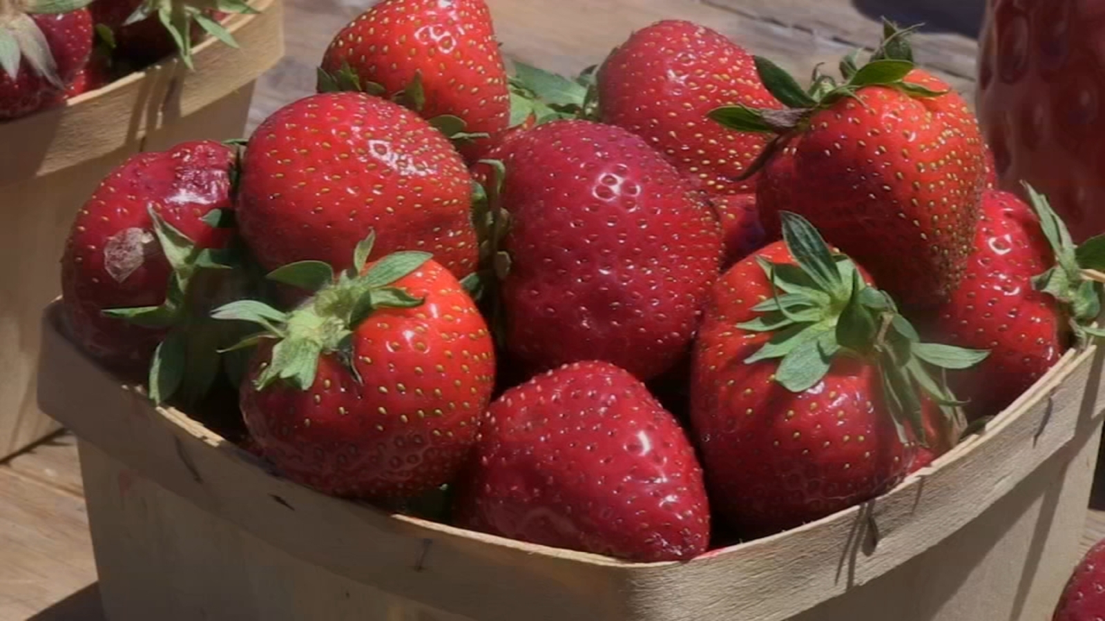 Delicious strawberries are in season in northwest Indiana ABC7 Chicago