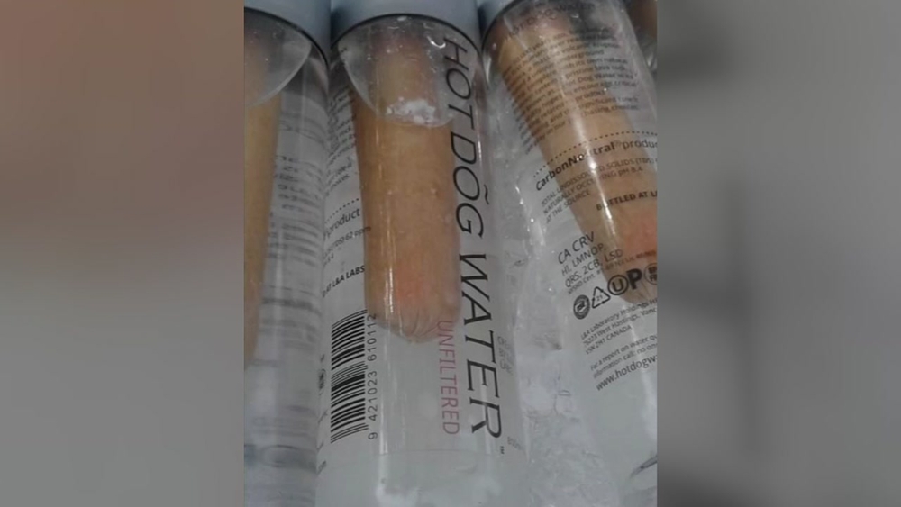 Hot Dog Water Bottle: Quirky Hydration Trend Explained